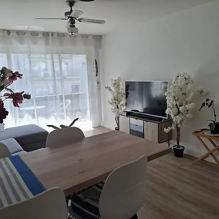 Le Dauphin Appartement